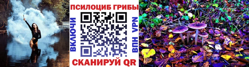 Псилоцибиновые грибы MAGIC MUSHROOMS  Купить закладки  Кирово-Чепецк 
